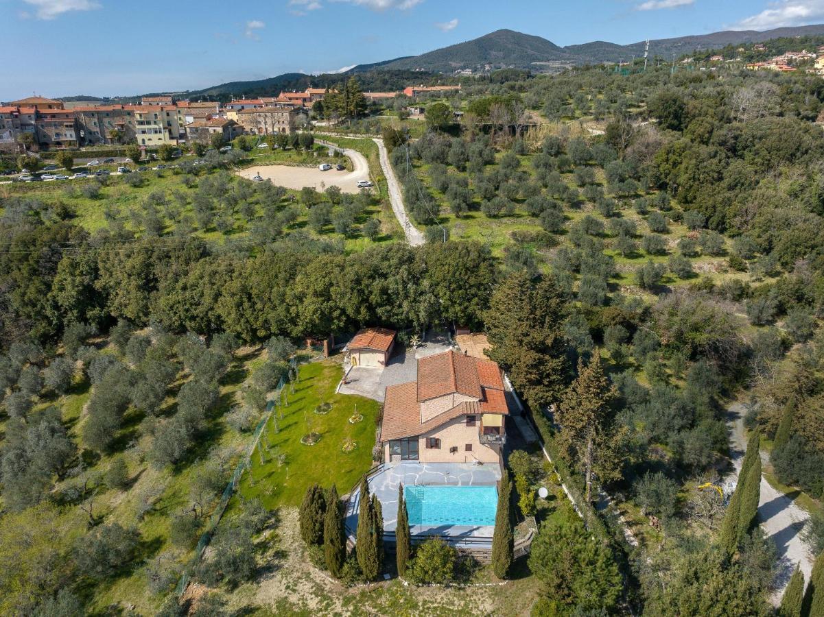 Villa Cristina Riparbella Bagian luar foto