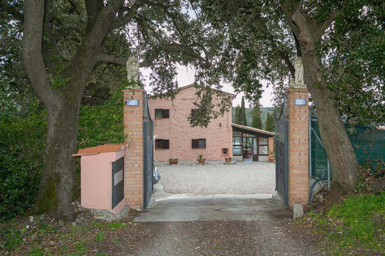 Villa Cristina Riparbella Bagian luar foto